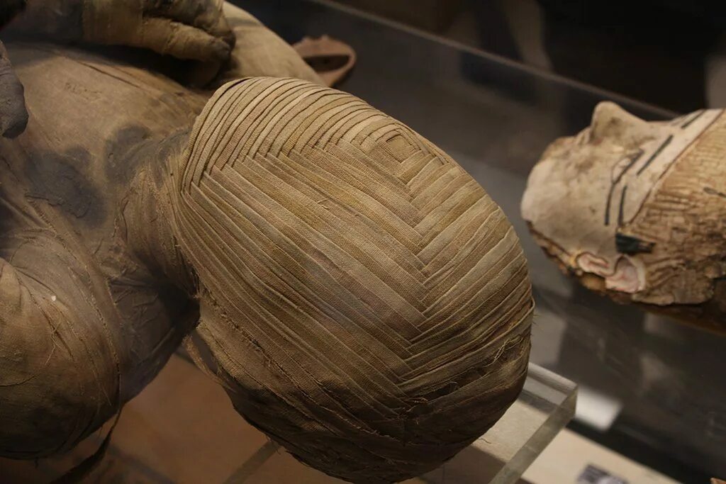 Mummy chair. Древнеегипетская Мумия Лувр. Бальзамирование мумии Египет. Бальзамирование Мумий. Бальзамирование в древнем Египте.