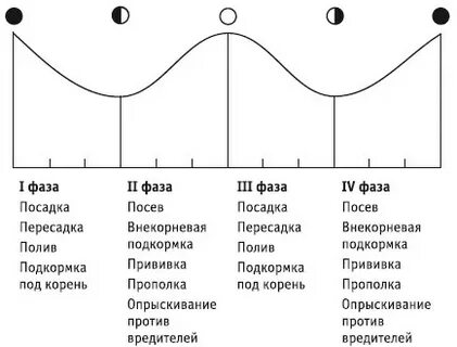 Какая фаза
