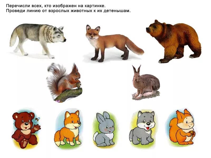 Несколько чей