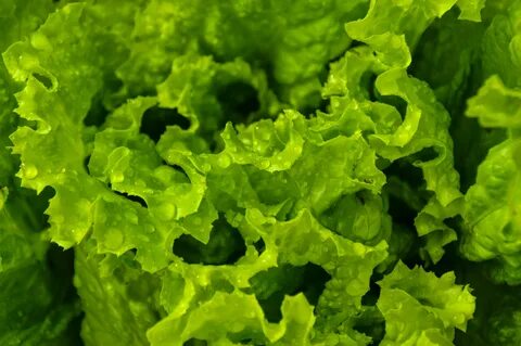 Leafy vegetables