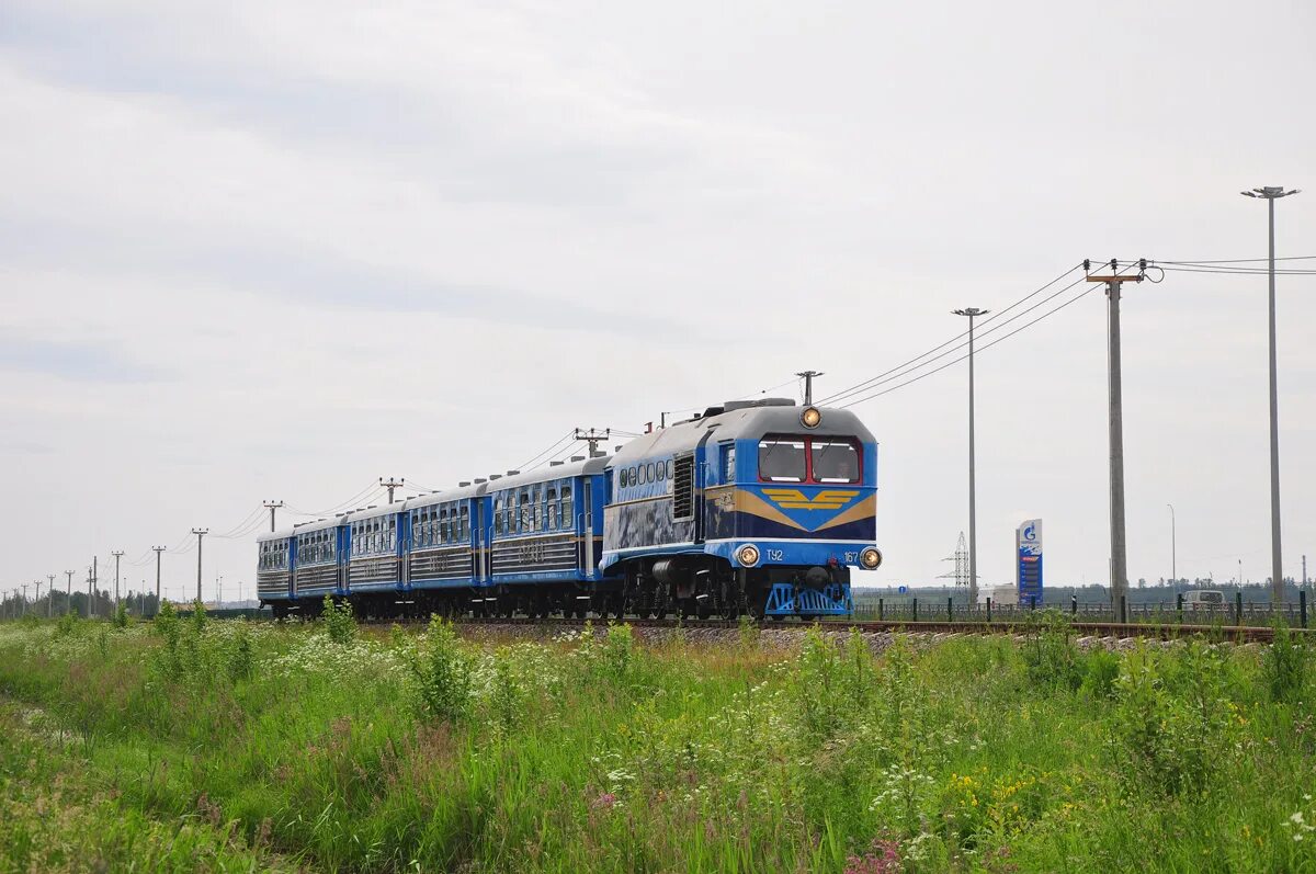 Том 1 тепловоз. Тепловоз ту2-167. Малая Октябрьская детская железная дорога ту2. Малая Царскосельская дорога тепловоз Пегас. Ту 2 167.