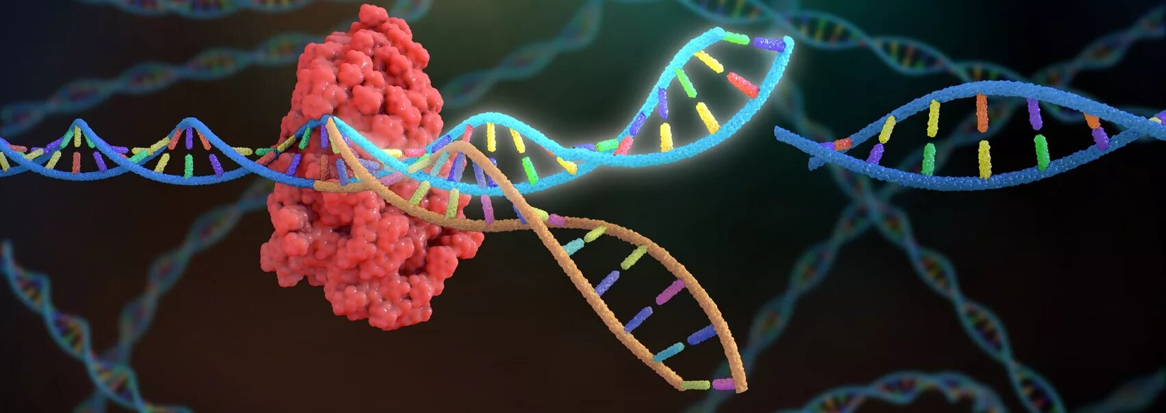 Наследственные заболевания днк. CRISPR cas9 метод в технологии. Генная терапия. Мутация ДНК.
