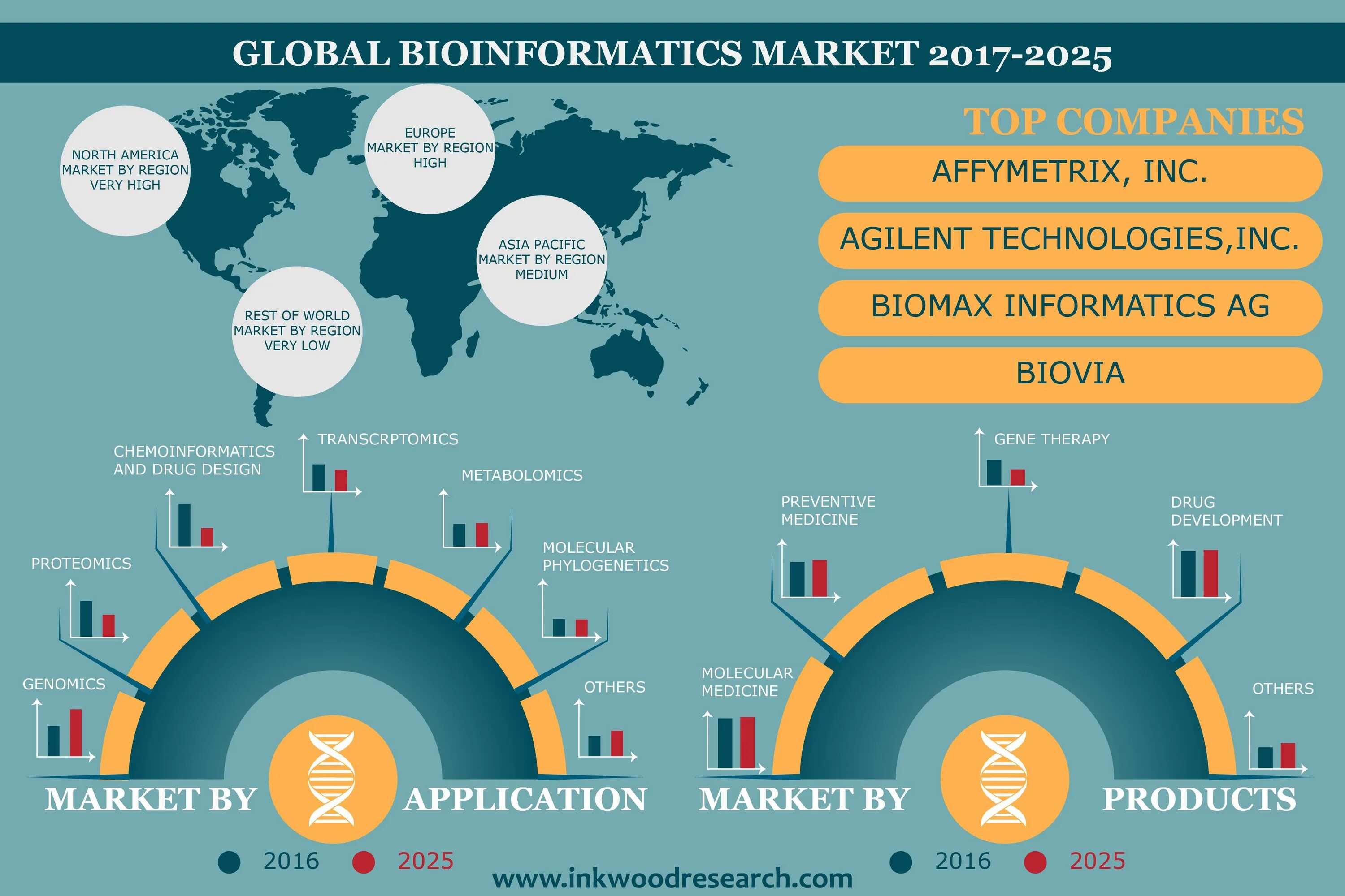 Рынок регион. Global Market. Биоинформатика инфографика. Global Market картинки. Биоинформатика картинки.