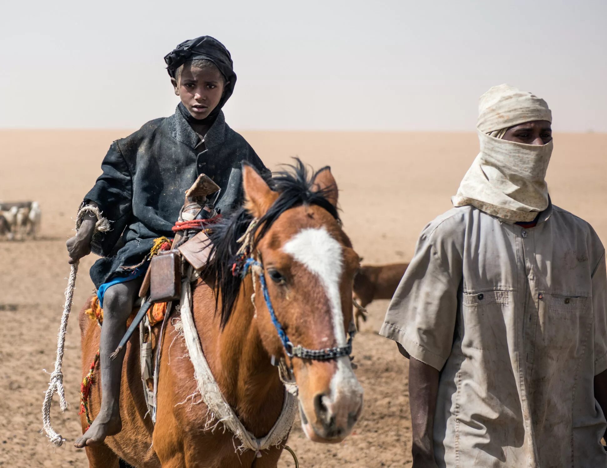 известные кочевники. даниил коржонов монголия беркутчи. кочевник nomad. монгол фильм воины чингисхана. кочевая цивилизация казахов.