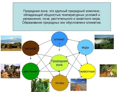 Что такое природная зона кратко 5 класс