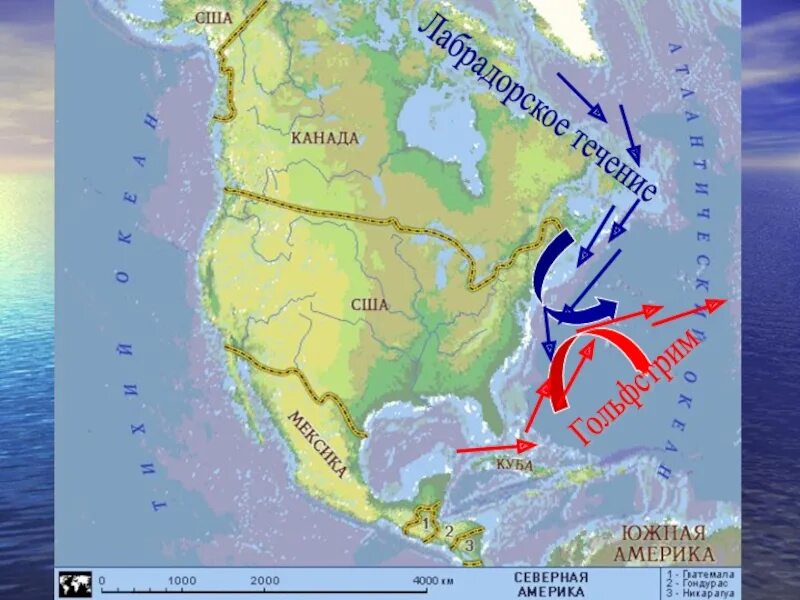 С востока северную америку омывает. Течения Северной Америки на карте. Холодные течения Северной Америки на карте. Океанические течения Северной Америки. Холодные течения Северной Америки.