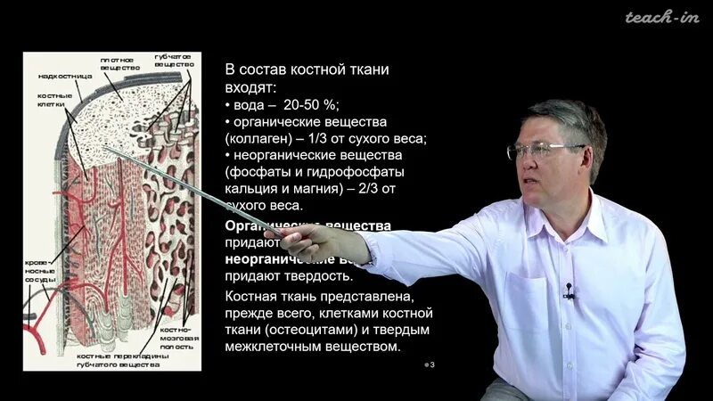 100 часов школьной биологии дубынин. Будущее науки. Научно практическая конференция младших школьников слоган. Богданова, е. Солодова биология.