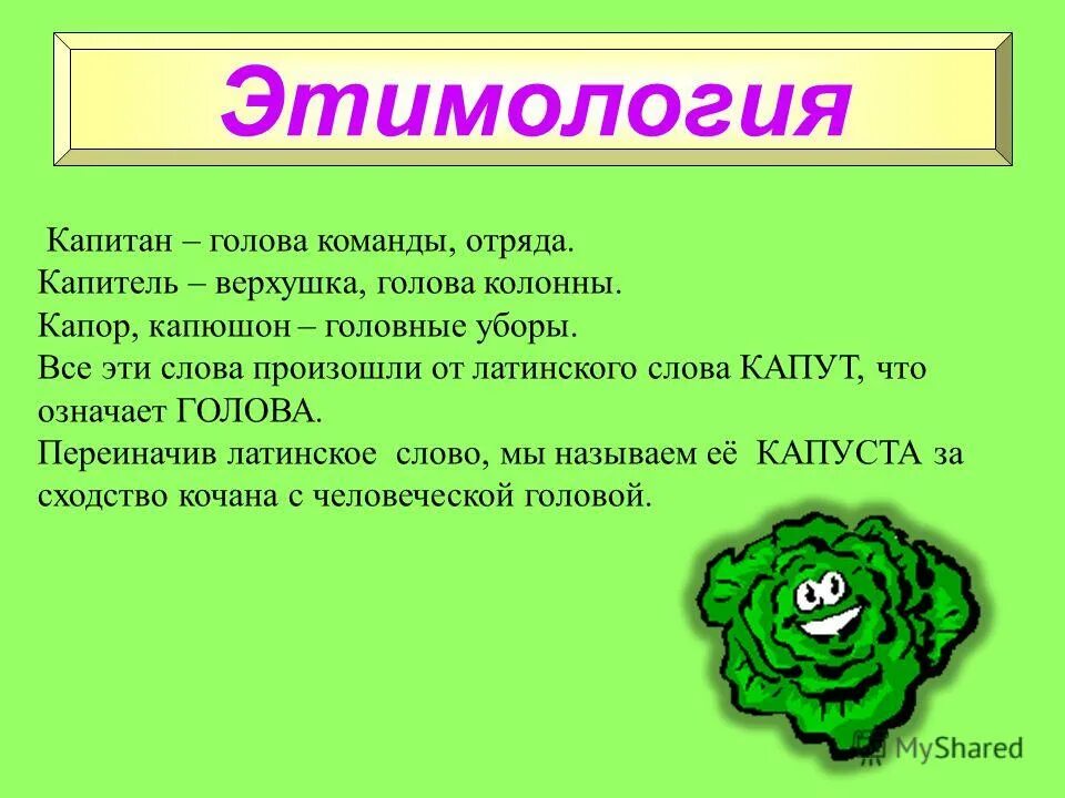 слова капуста составить предложение