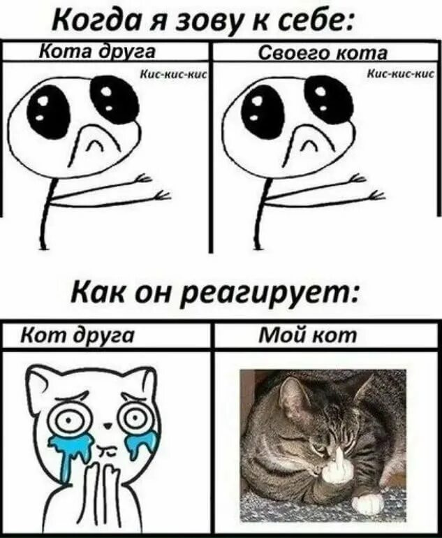 Создать мем с котами. Мемы с котами. смешные мемы с котами. коты мемы комиксы.