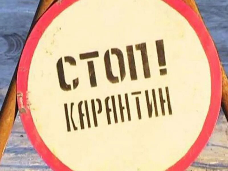 Через карантин. Карантинная зона надпись. Карантин. Карантин фото. Карантин.