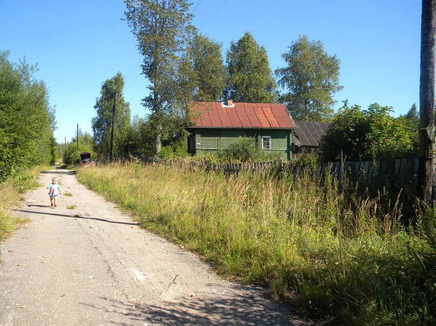 Погода в меглецах мошенского. Погода в меглецах мошенского. Мошенское новгородская область. Погода в меглецах мошенского. Погода в меглецах мошенского.