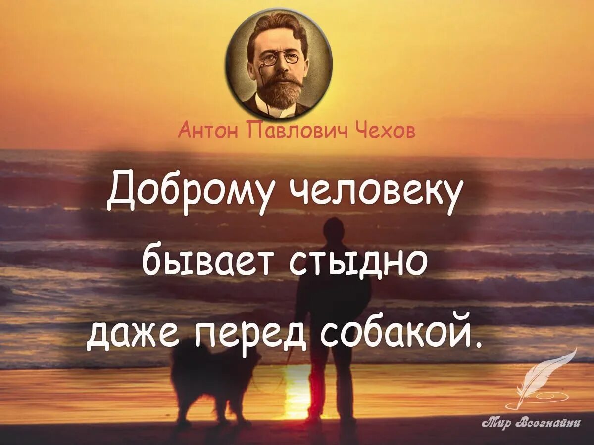 Собакам бывает стыдно. Доброму человеку бывает стыдно даже. Хорошему человеку бывает стыдно даже перед собакой. Хорошему человеку и перед собакой стыдно.