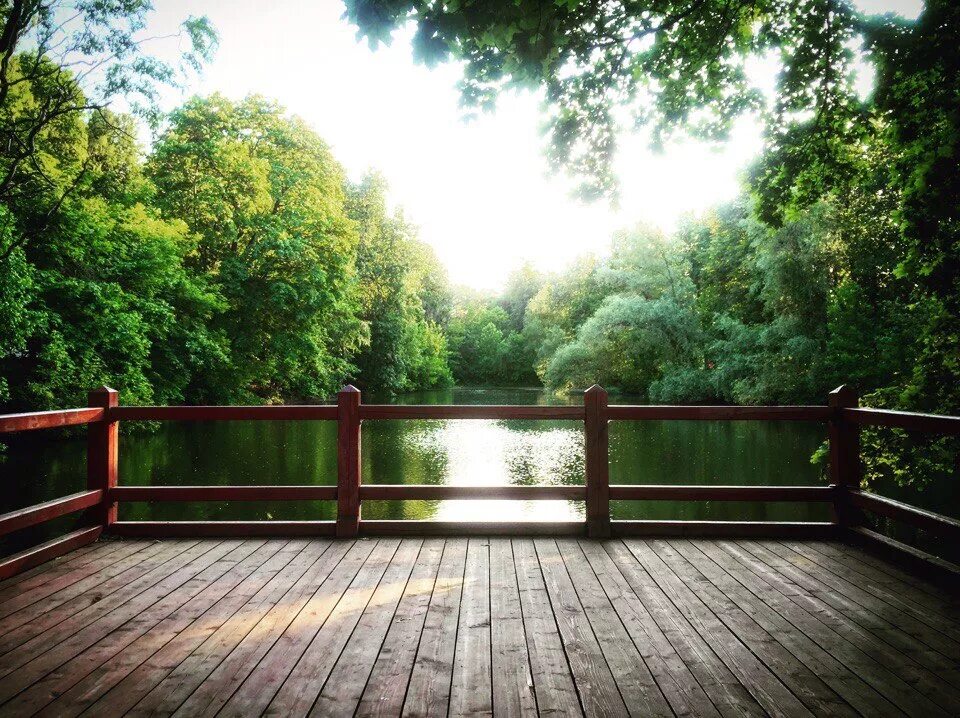 Парк воробьевы горы. Парк воробьи горы. Воробьевы горы лестница. Воробьёвы горы (природный заказник). Экотропа воробьевы горы.