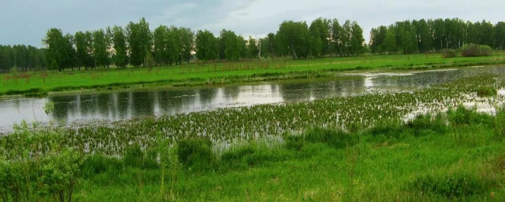 Деревня Инцисс Омская область Муромцевский район. Деревня Черталы Муромцевский район. Деревня Черталы Омская. Деревни Муромцевского района Омской области.