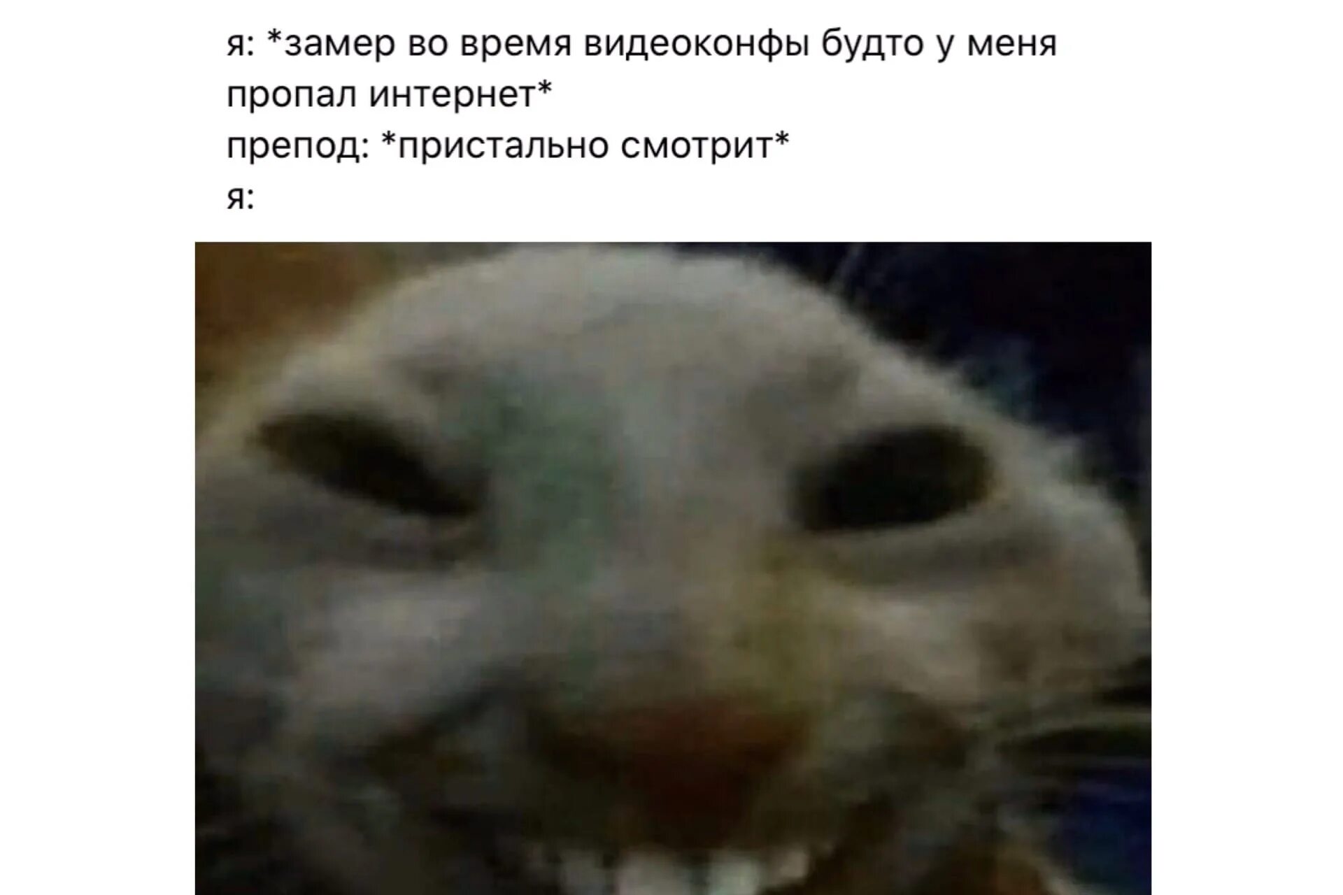 Увидеть поспим