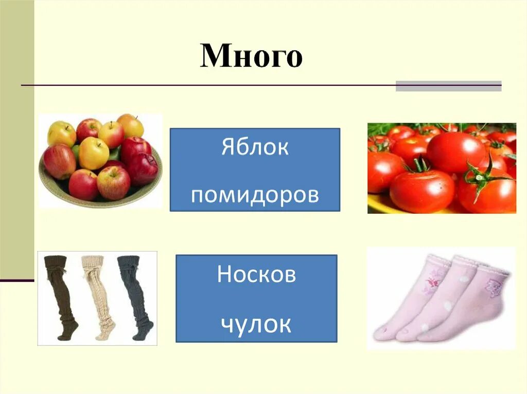 Множественное число имён существительных 5 класс. Множественное число им.сущ в 5 кл. Множественное число существительных в русском языке 5 класс. Множественное число имён существительных.урок в 5 классе. Обувь множественное