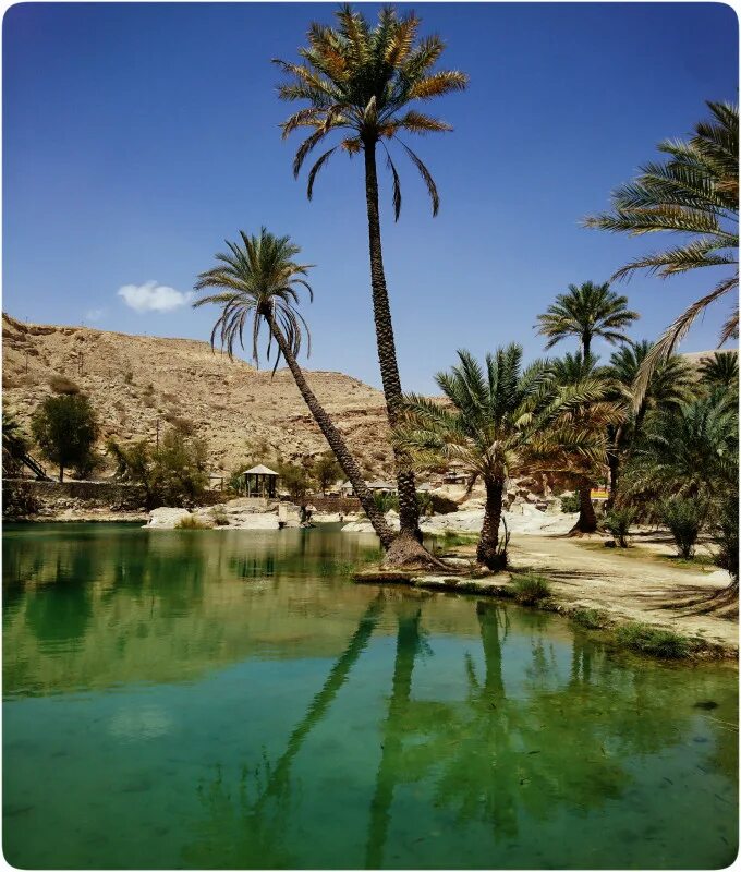 Оман Салала природа. Оазис Оман. Оман климат. Мускат Оман.