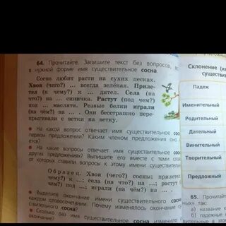 Прочитайте сосна
