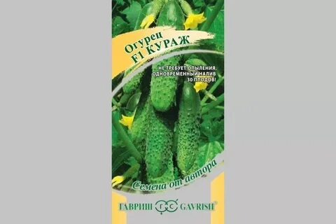 Огурец кураж описание сорта отзывы