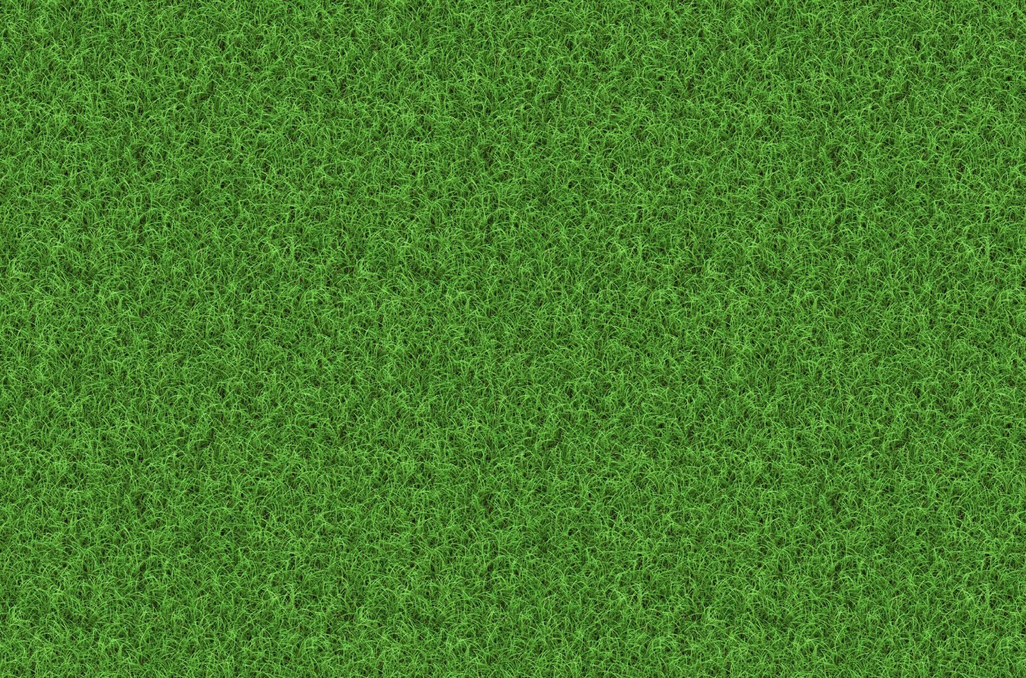 Текстура травы. Трава газон текстура. На рисунке изображен зеленый газон. Зеленый газон. На рисунке изображен зеленый газон.