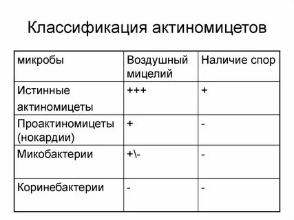 Таксономия актиномицетов