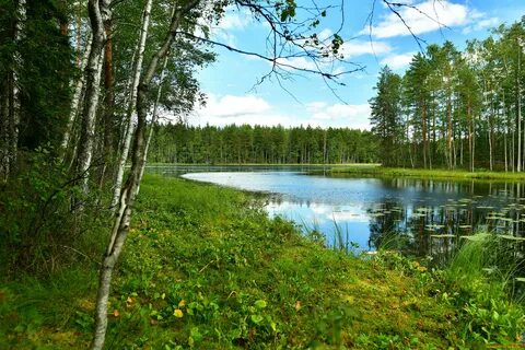 Русский водоем