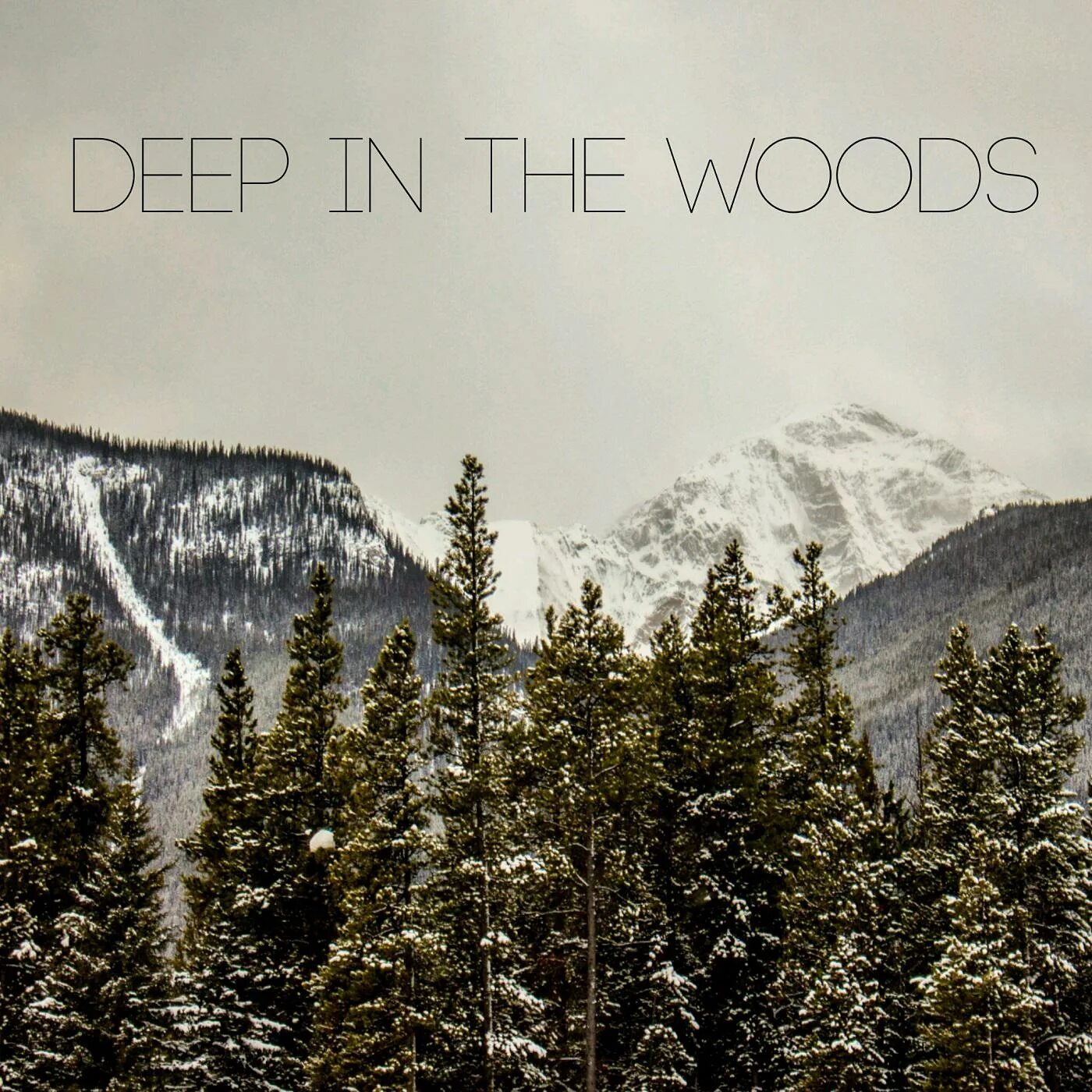Stop in the wood. Deep in the Woods. Обложки in the Wood. Deep in the Woods, 2000. In the Woods Omnio.