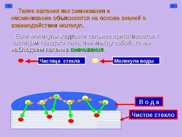 Взаимодействие молекул явления. Смачивание и несмачивание. Смачивание и несмачивание жидкостью твердого тела. Явление смачиваемости и несмачиваемости. Объясните явление смачивания и несмачивания.