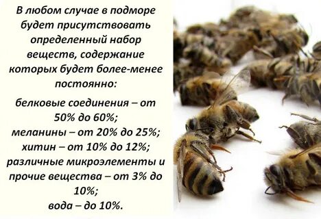Как пить подмор пчелиный