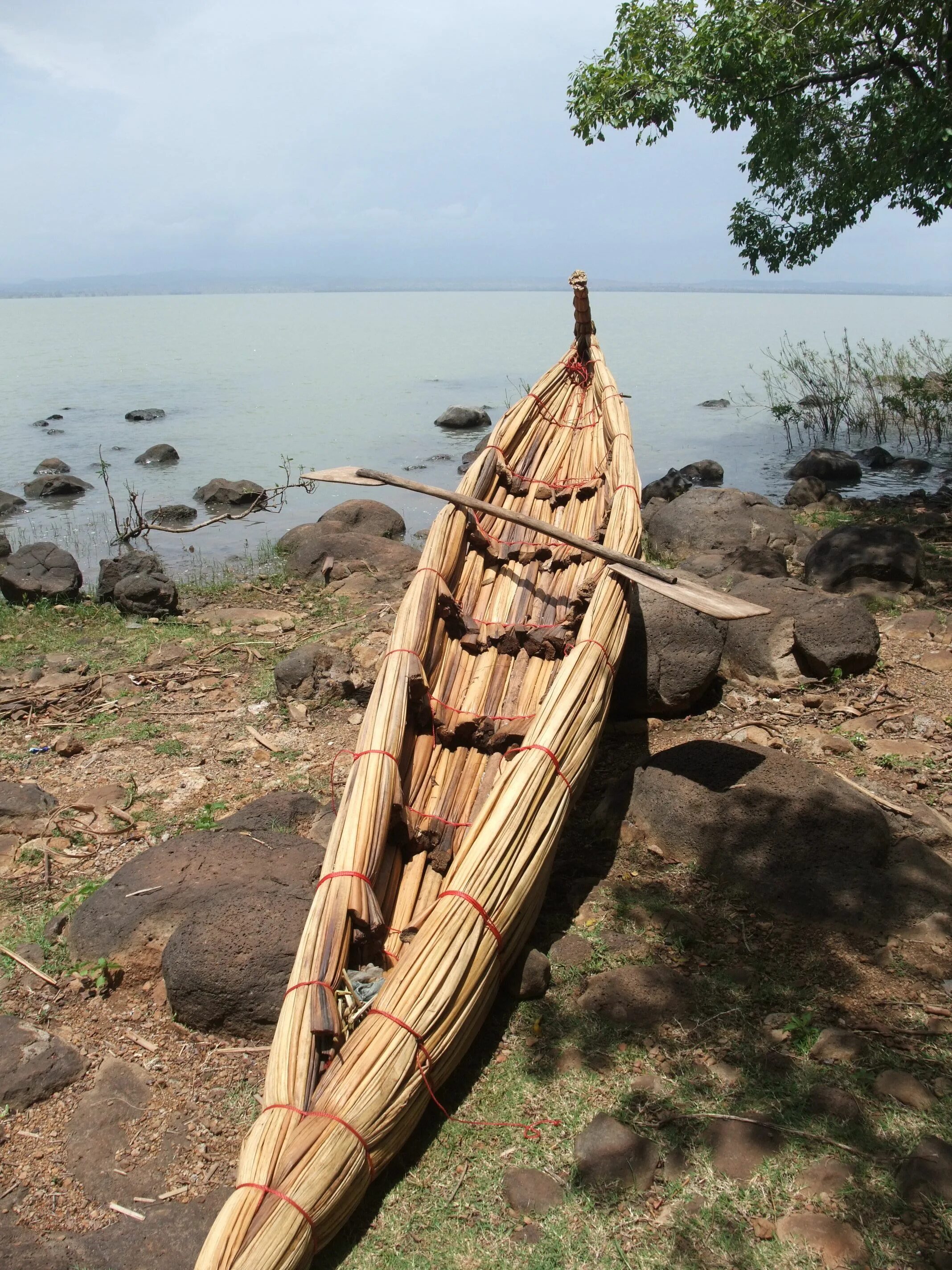древние египтяне делали лодки из тростника. папирусная лодка египтян. первые папирусные лодки древнего египта. древние египтяне делали лодки из тростника. древние египтяне делали лодки из тростника.