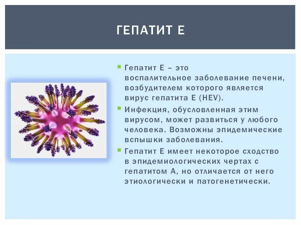 Гепатит а и е. Гепатит е. Вирус гепатита e. Вирус гепатита в. Вирусный гепатит е возбудитель.