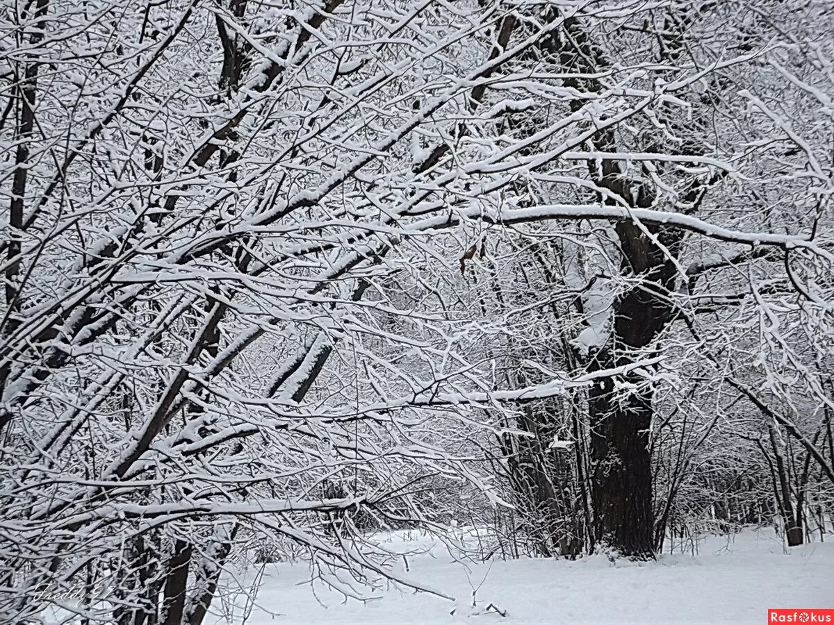 снег расставание. где то там за окном ходит зима. расставание любовь зима. где то там за окном ходит зима. где то там за окном ходит зима.