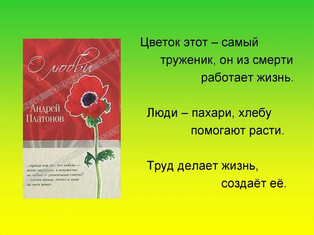 Цветок на земле вопросы по содержанию произведения. Цветок этот самый труженик. Цветок на земле Платонов. Цветок этот — самый труженик, он...из смерти работает. Цветок этот самый труженик он из смерти.