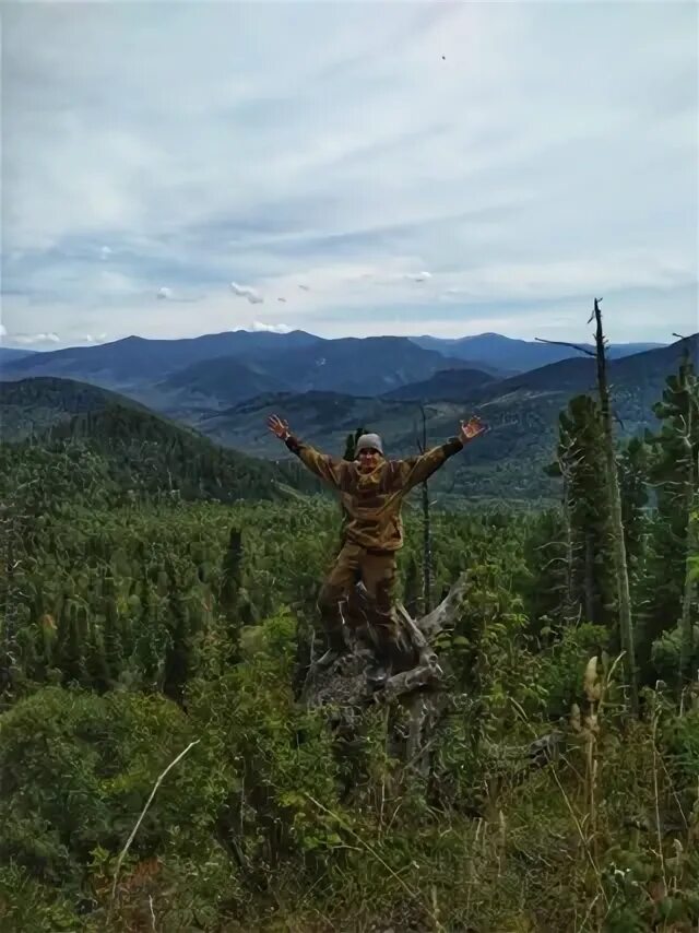 Алексеев горно алтайск