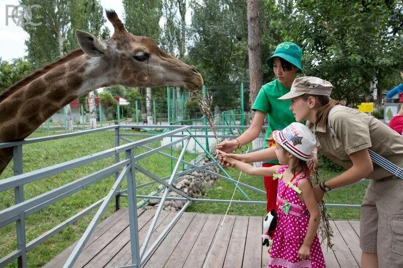 Сколько стоит билет в зоопарк ростов. Ростовский зоопарк Ростов-на-Дону. Ростовский-на-Дону зоопарк, Ростов-на-Дону. Ростовский на Дону зоопарк. Ростовский зоопарк Ростов-на-Дону 2022.