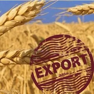Качество продукции сельского хозяйства