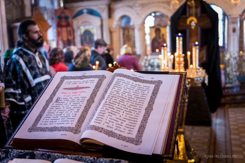 Евангелие дня мир православия на сегодня слушать. Чтение Евангелия в храме. Чтение Евангелия на литургии. Евангелие в храме. Православное Евангелие в храме.