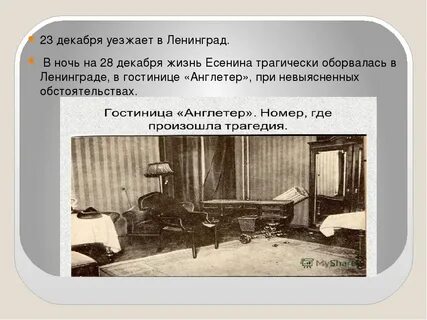 Англетер номер есенина