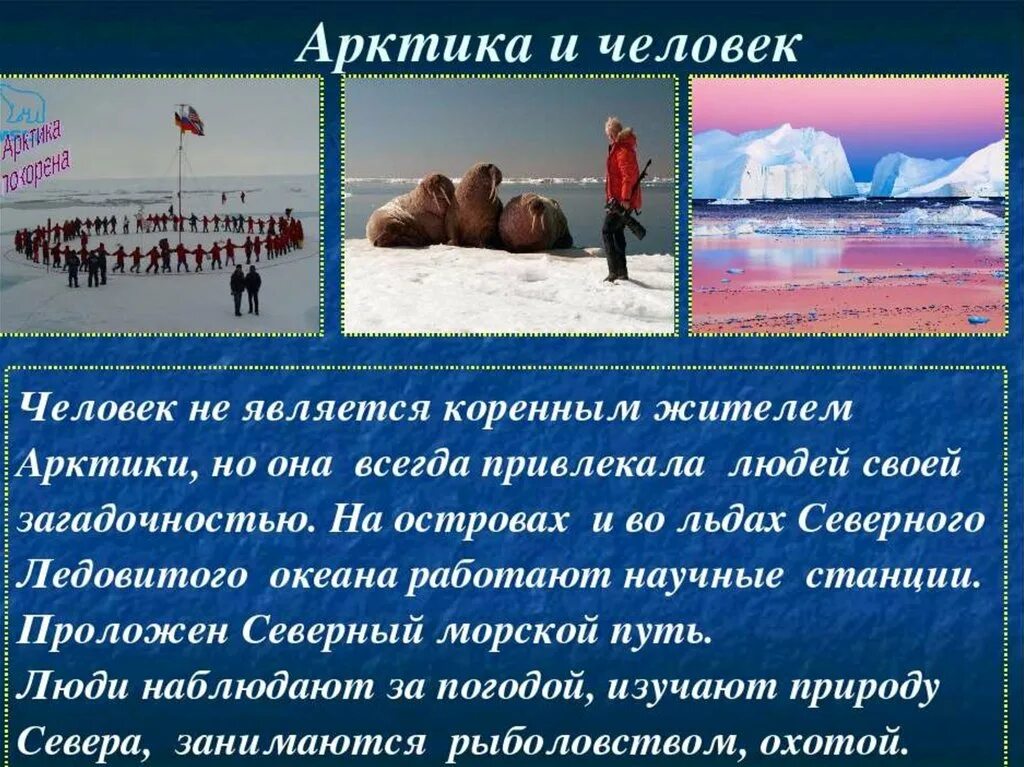 Арктическая пустыня изменение природы. Арктический презентация. Человеческая деятельность в арктических пустынях. Занятия населения в Арктике. Деятельность человека в Арктике.