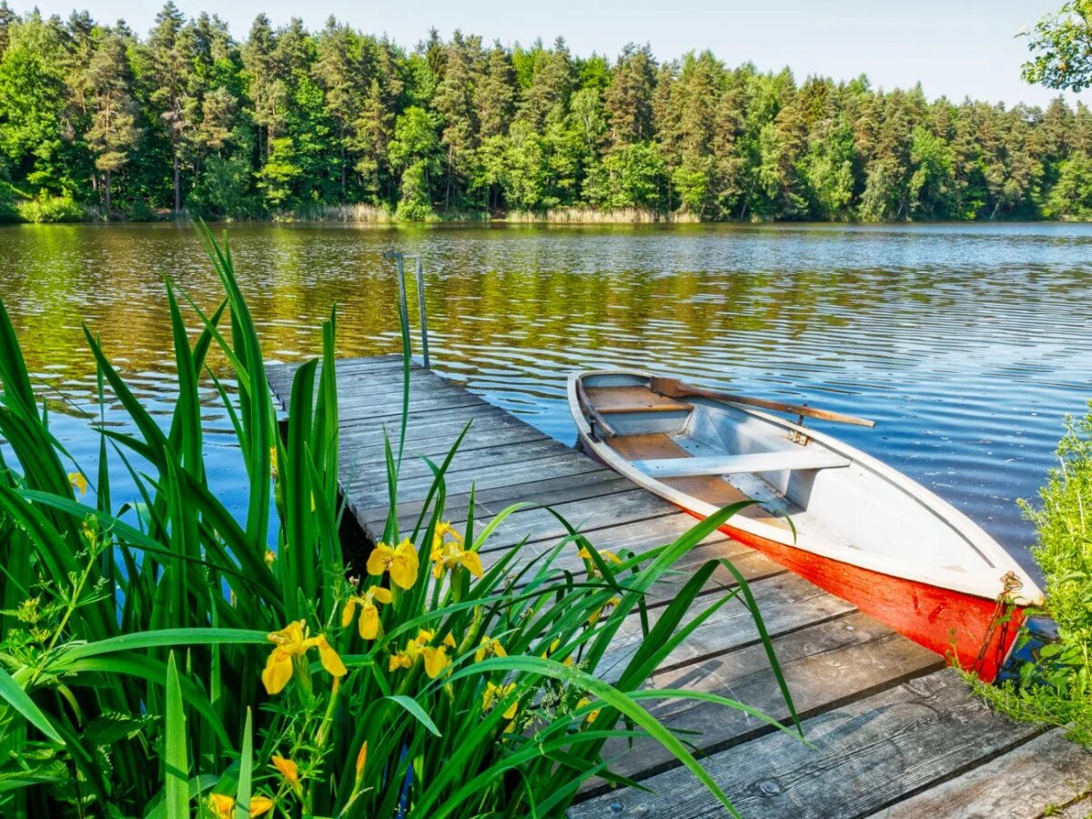 Хорошо гулять по берегу лесного озера. Озеро Селигер лодка. Которосль река Ярославль лодка. Лодка на реке. Лодка на озере.