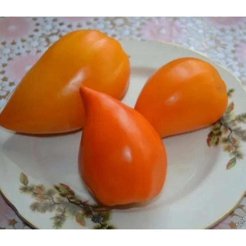 томат заилийский алатау характеристика и описание. томат заилийский алатау. томат заилийский алатау. томат заилийский алатау красный коллекционные сорта. Elya garden томат заалийский алатау желто-оранжевый - коллекционный сорт.