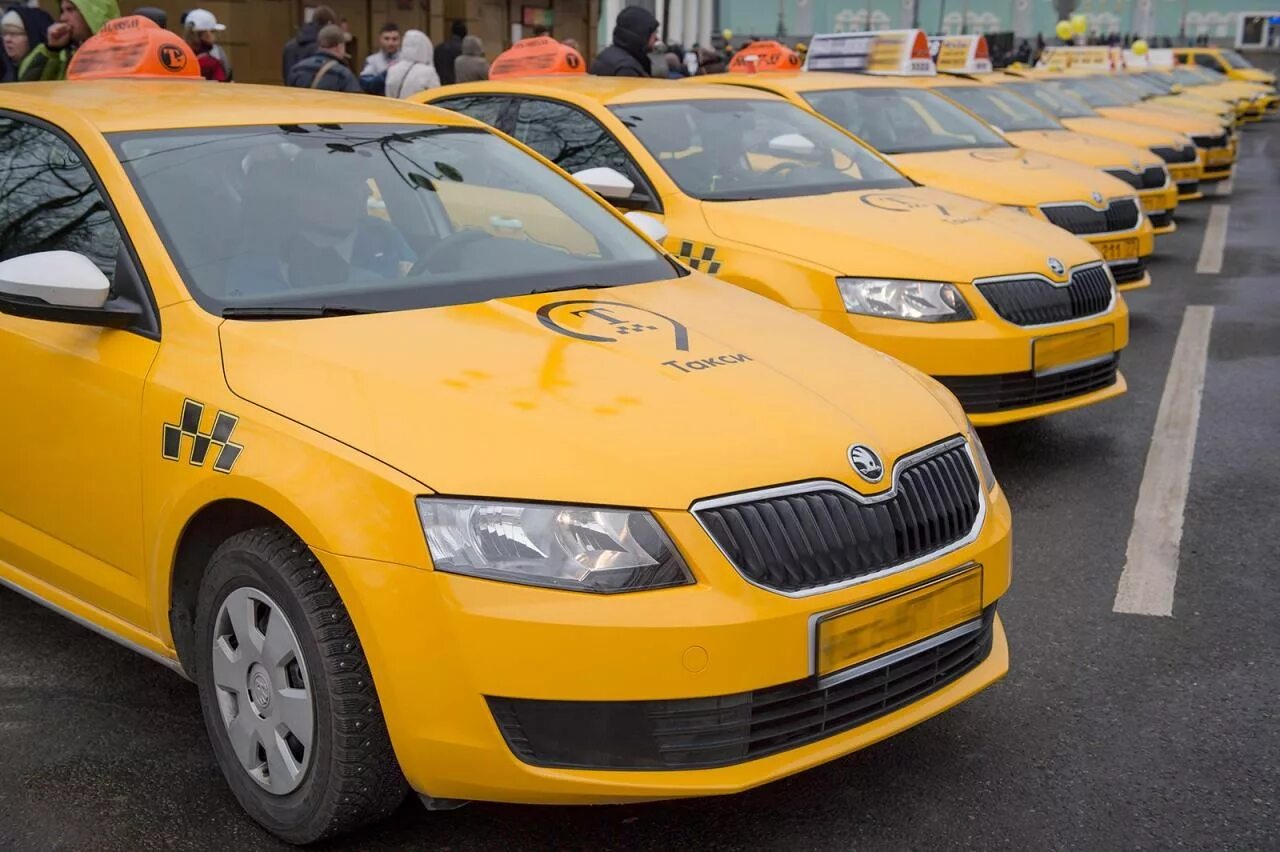 Такси какой цвет должен быть. Шкода Рапид желтая. Skoda Octavia Taxi. Желтый Skoda Rapid Taxi.