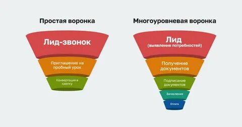 Воронка это в биологии