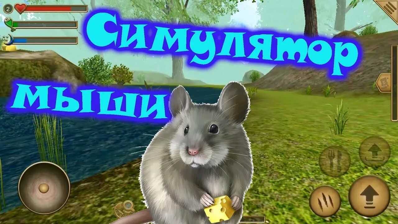 Игры с мышкой на андроид. Симулятор мыши. игра про мышонка. симулятор маленькой мыши. игры про грызунов.