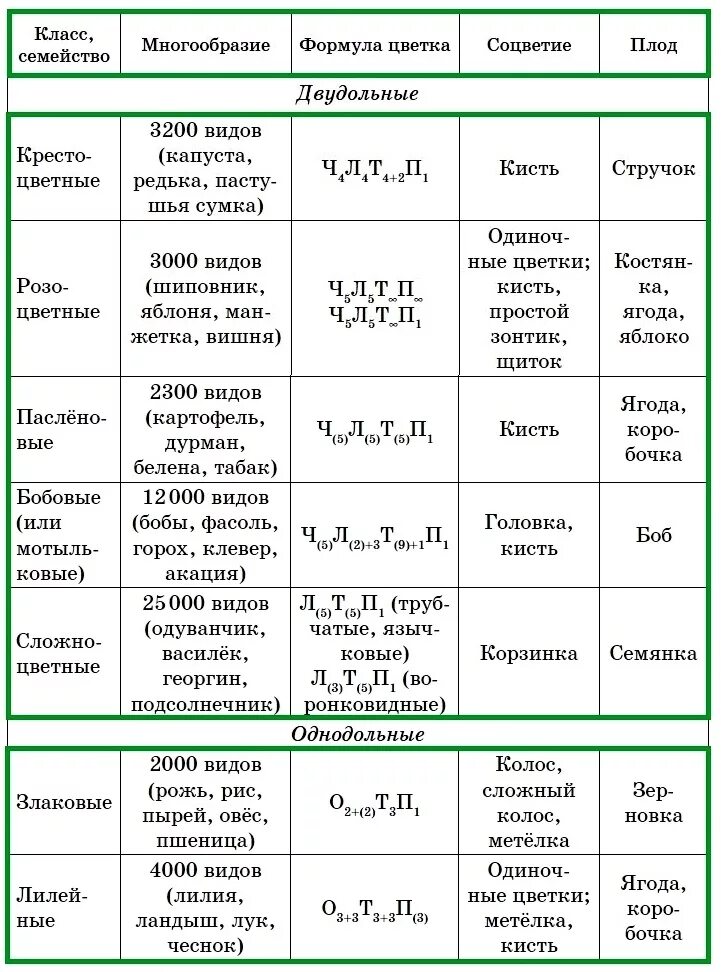 Тест классы цветковых растений 6 класс биология. Семейства покрытосеменных растений таблица 6 класс. Таблица характеристика семейств 6 класс биология. Семейства покрытосеменных растений таблица с формулами. Семейство цветковых растений формулы цветков.