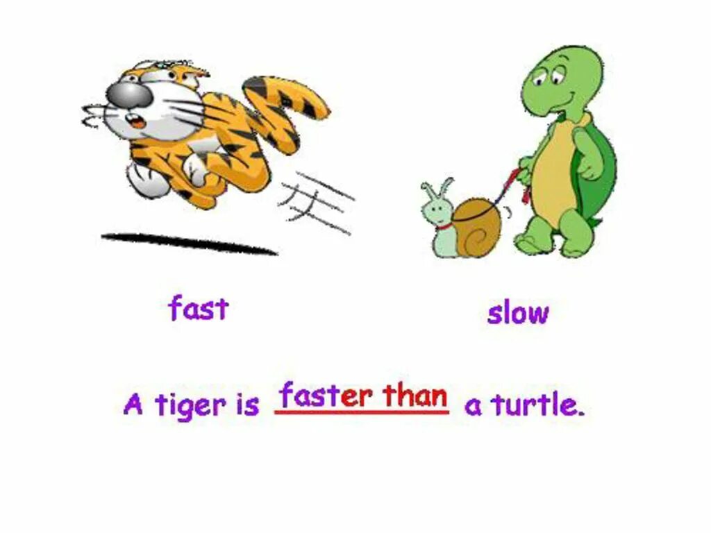 Fast Slow дети задания английский. Comparative adjectives Slow. Fast Slow. Fast adjective. Slow adjective