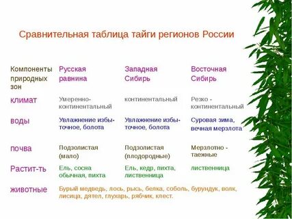 Компоненты тайги