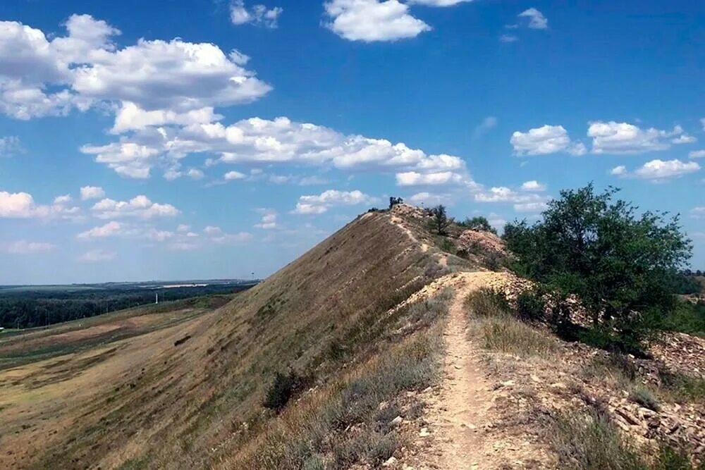 Гора Гребени Оренбург. Гора Гребени Сакмарский район. Гребени горнолыжка Оренбург. Гора Гребени Оренбург высота. Село гребень