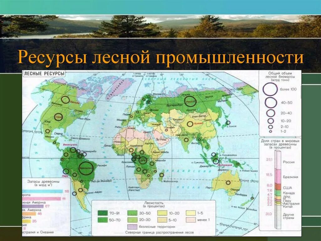 Уровень богатства страны. Карта обеспеченности лесными ресурсами. Центры Лесной и деревообрабатывающей промышленности.