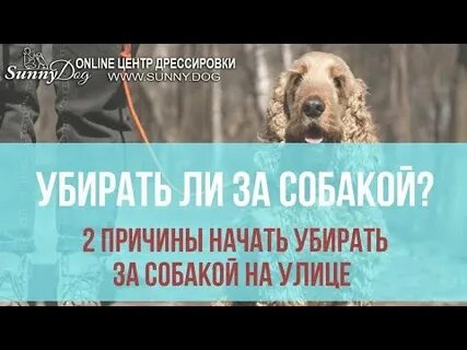 Как удалить собаку